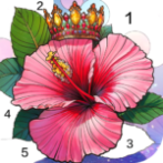 Calm Color Coloring games Unlimited Money Mod Apk 1.187.175 Calm Color Coloring games Unlimited Money Mod Apk 1.187.175
