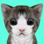 Cat Simulator Online Unlimited Money Mod Apk 49 Cat Simulator Online Unlimited Money Mod Apk 49