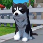 Dog Simulator 3D – Animal Life Unlimited Money Mod Apk 1.1.00 Dog Simulator 3D – Animal Life Unlimited Money Mod Apk 1.1.00