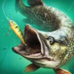 Fishing Tour Unlimited Money Mod Apk 1.23.0 Fishing Tour Unlimited Money Mod Apk 1.23.0