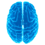 Logical tests – IQ Unlimited Money Mod Apk 12.36 Logical tests – IQ Unlimited Money Mod Apk 12.36