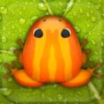 Pocket Frogs Tiny Pond Keeper Unlimited Money Mod Apk 3.11.2 Pocket Frogs Tiny Pond Keeper Unlimited Money Mod Apk 3.11.2