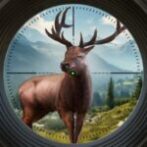 Trophy Hunter Hunting Game Unlimited Money Mod Apk 2.7.0 Trophy Hunter Hunting Game Unlimited Money Mod Apk 2.7.0