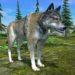 Wolf Simulator – Animal Games Unlimited Money Mod Apk 1.0.62 Wolf Simulator – Animal Games Unlimited Money Mod Apk 1.0.62