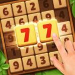 Woodber – Classic Number Game Unlimited Money Mod Apk 2.9 Woodber – Classic Number Game Unlimited Money Mod Apk 2.9