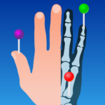 IMAIOS e-Anatomy Premium Unlocked Mod Apk 8.1.1 IMAIOS e-Anatomy Premium Unlocked Mod Apk 8.1.1